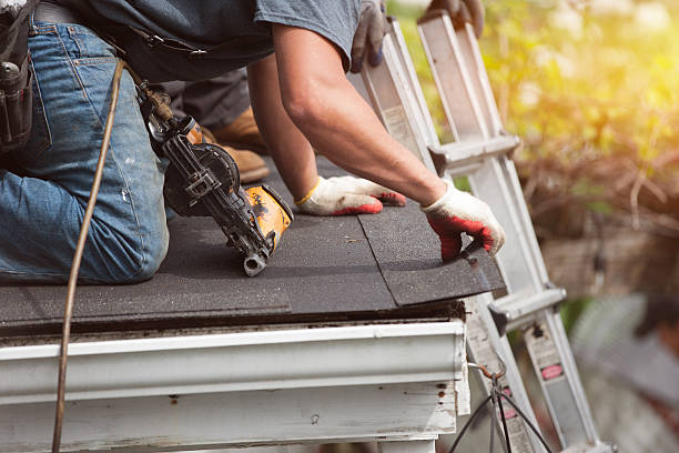 Best Roof Gutter Cleaning  in Caldwell, NJ